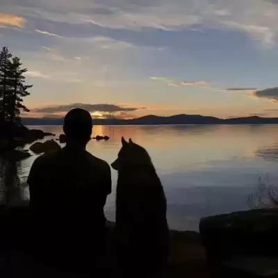丁芷巧